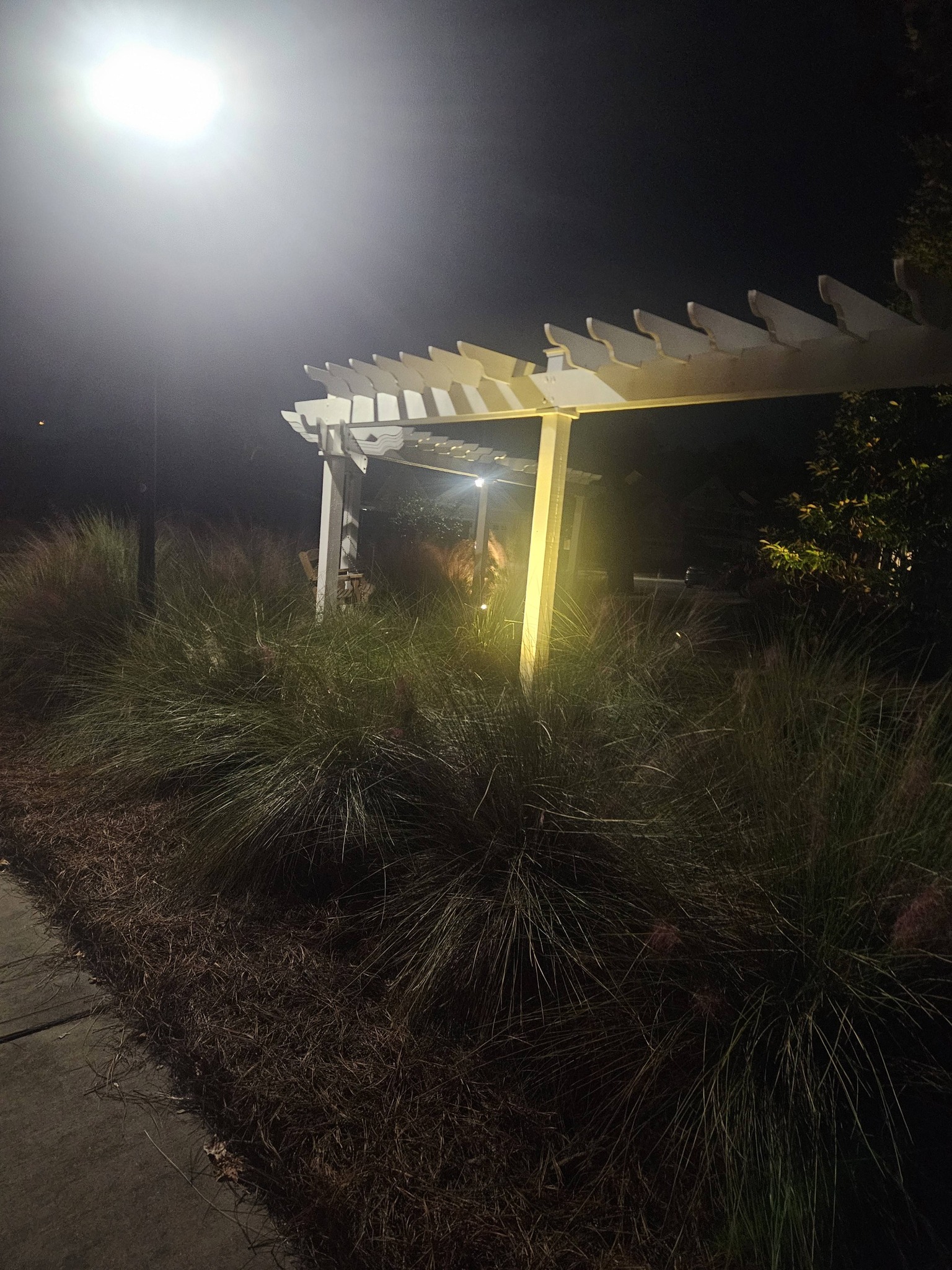 Professional landscape lighting installation Goose Creek SC